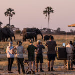 Ten Reasons Why People Travel on Safari