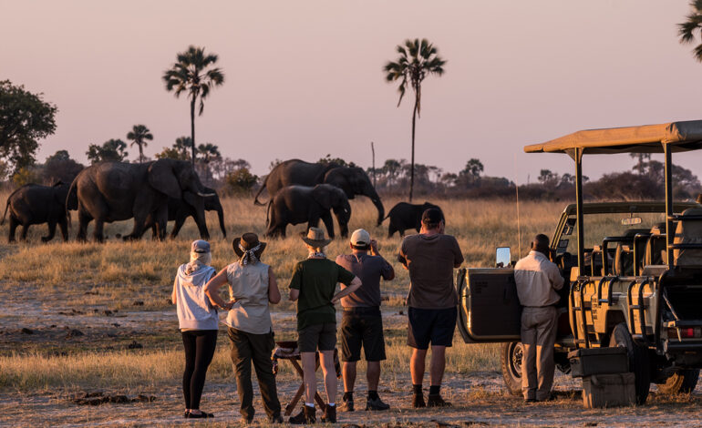  Ten Reasons Why People Travel on Safari