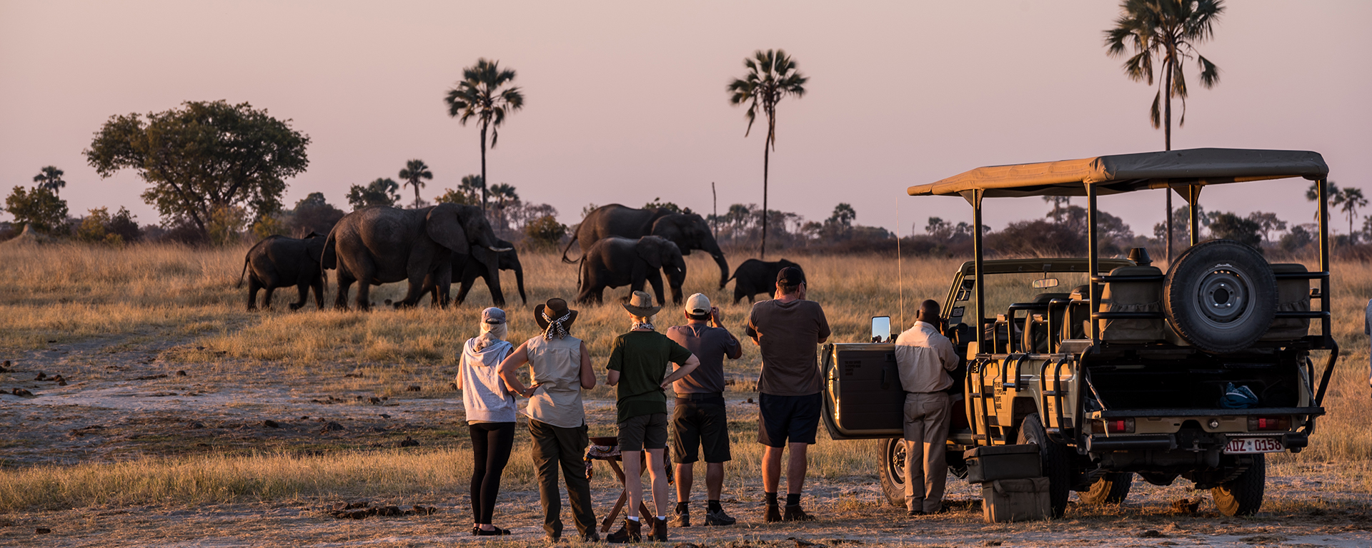 Ten Reasons Why People Travel on Safari
